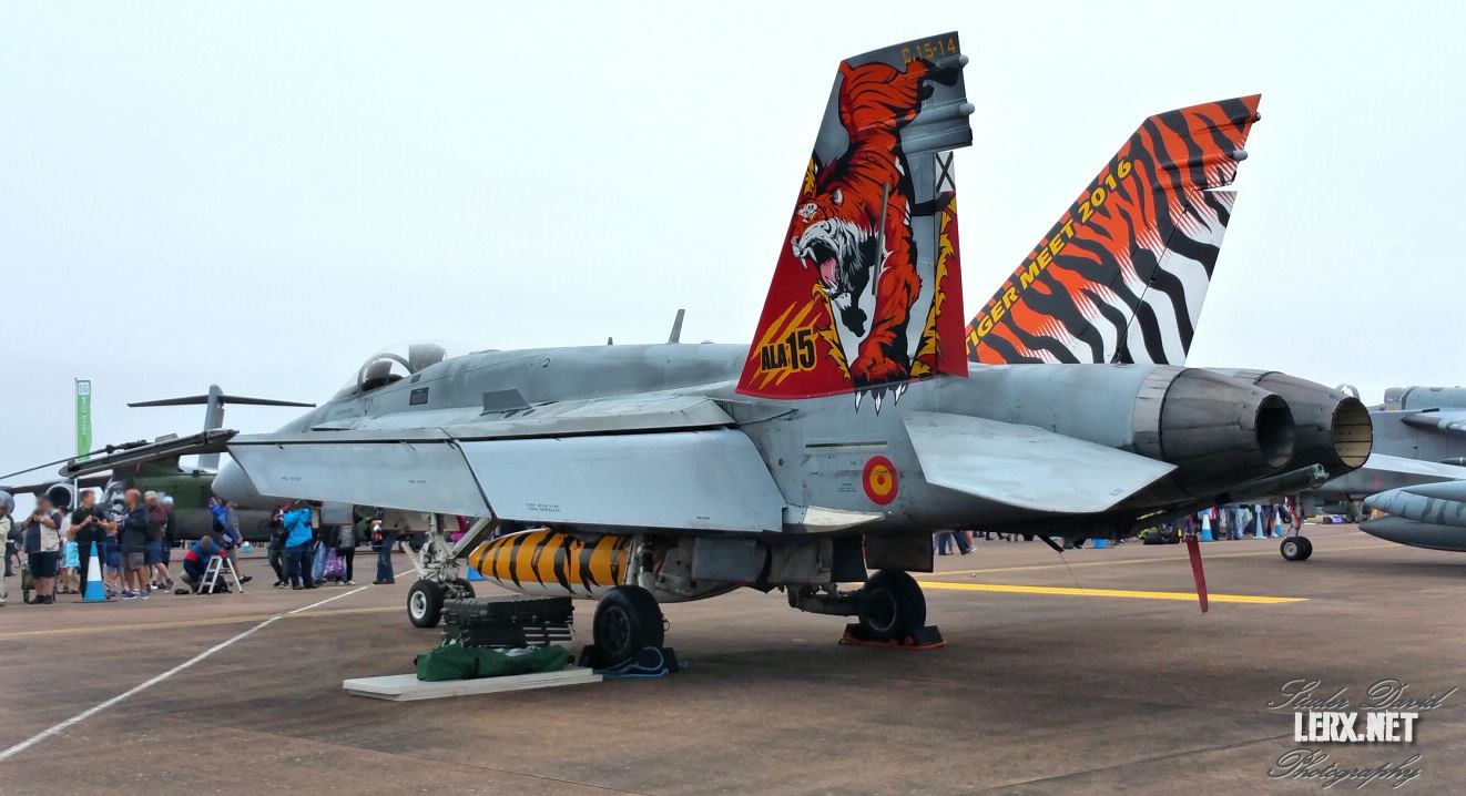 FA-18 Espagnol 0001  LERX NET.jpg
